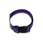 Purple Turquoise Galaxy Space Print Dog Collar
