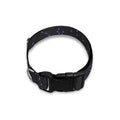 Purple Zodiac Stars Pattern Print Dog Collar
