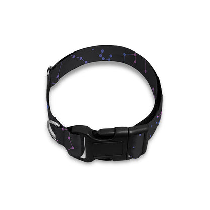 Purple Zodiac Stars Pattern Print Dog Collar