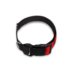 Put On Your Boxing Gloves Print Dog Collar