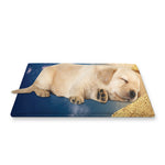Pyramid Sunset Print Pet Cooling Mat Cover