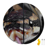 Python Snake Print Basketball