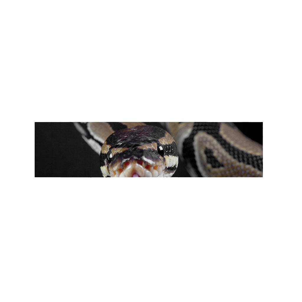Python Snake Print Bed Runner