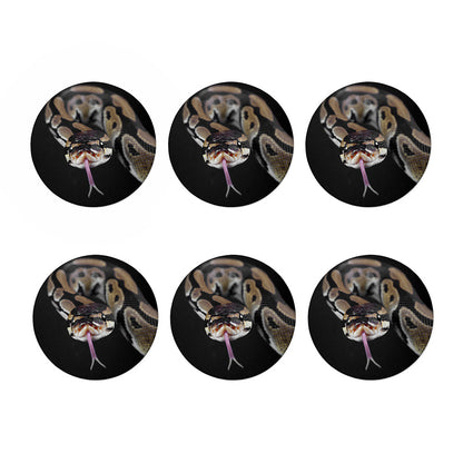 Python Snake Print Coaster Set