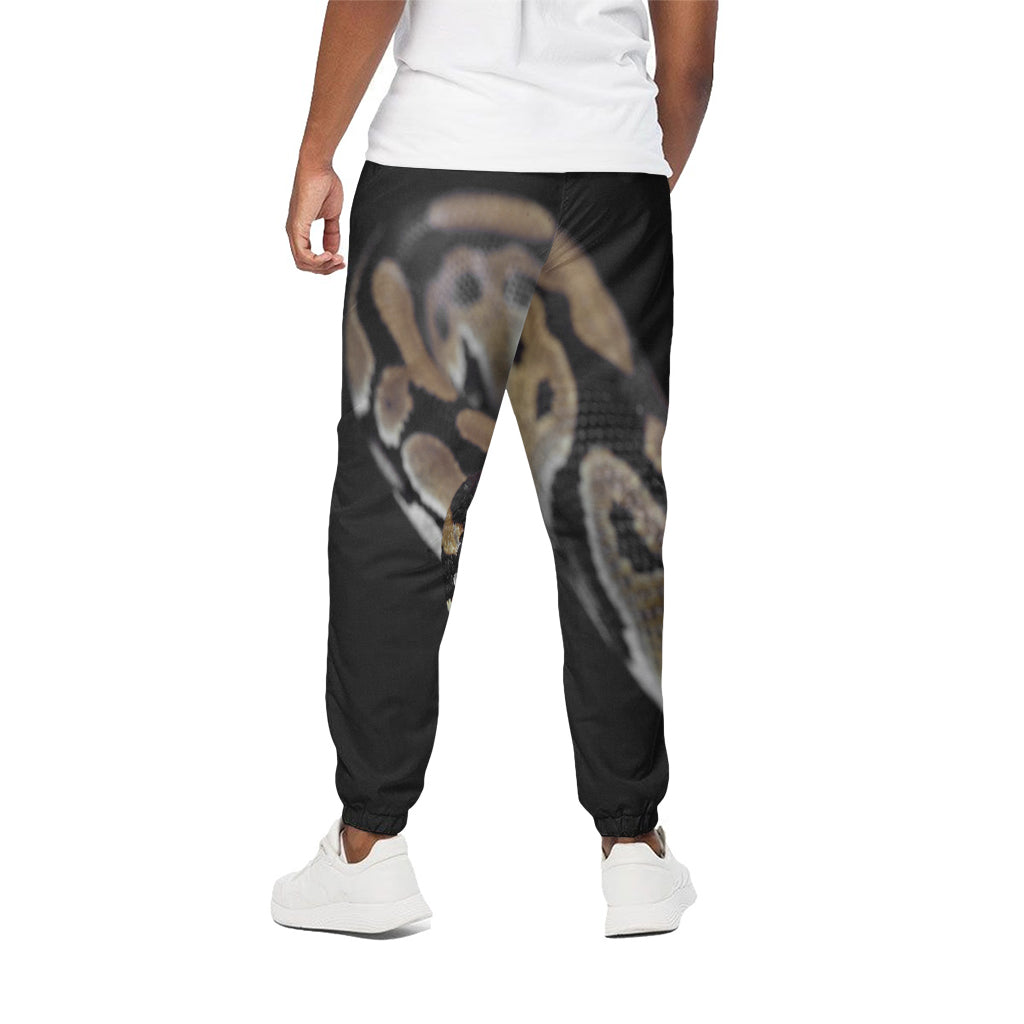 Python Snake Print Cotton Pants