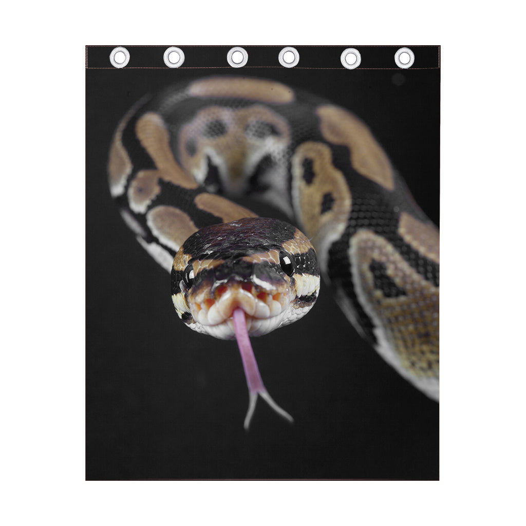 Python Snake Print Curtain