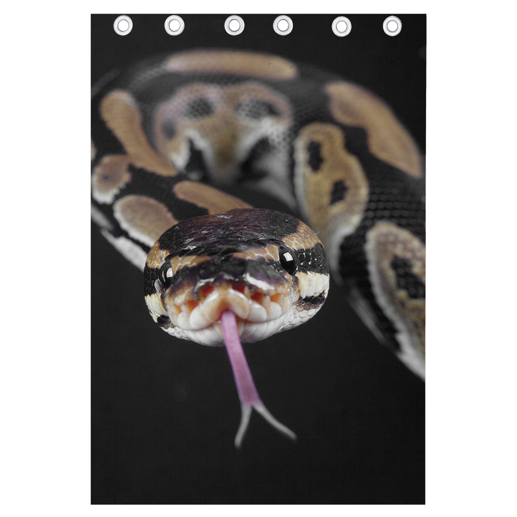 Python Snake Print Curtain