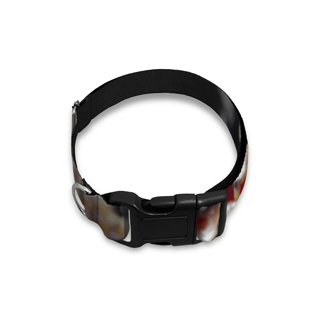 Python Snake Print Dog Collar