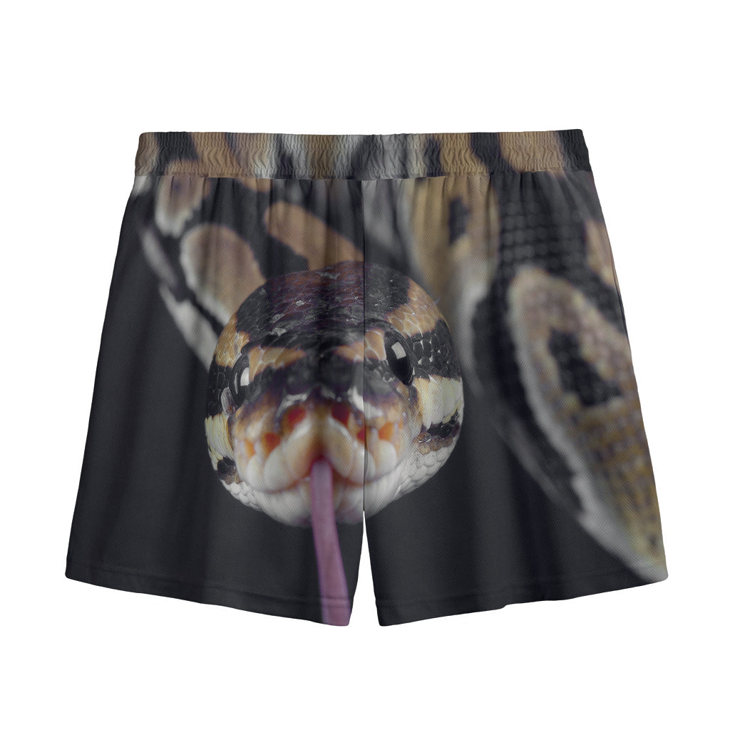 Python Snake Print Mesh Shorts
