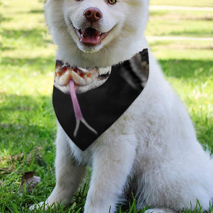 Python Snake Print Over The Collar Dog Bandana