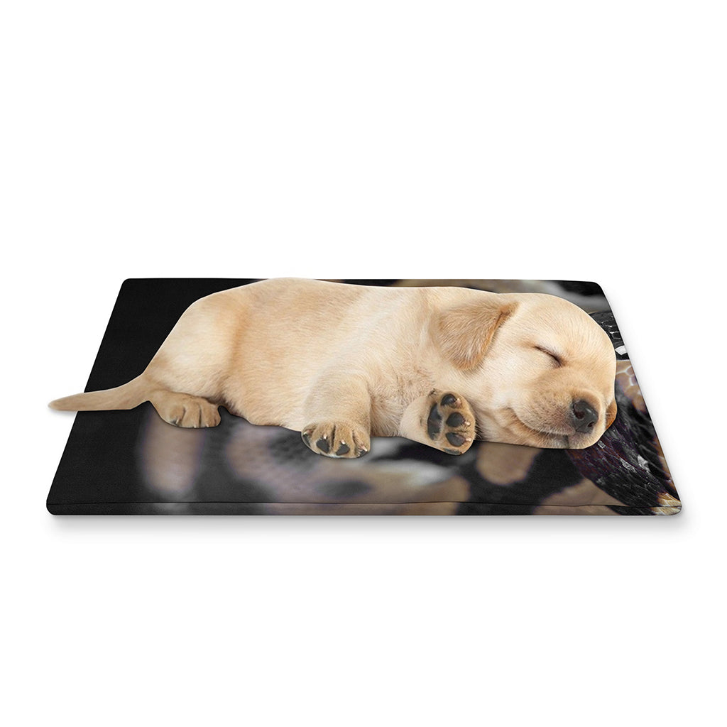 Python Snake Print Pet Cooling Mat Cover