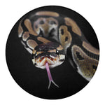 Python Snake Print Round Blanket