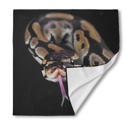 Python Snake Print Silk Bandana