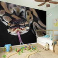 Python Snake Print Wall Sticker
