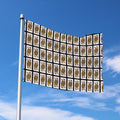 Queen Of Diamonds Pattern Print Polyester Flag