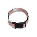 Rabbit And Carrot Pattern Print Dog Collar