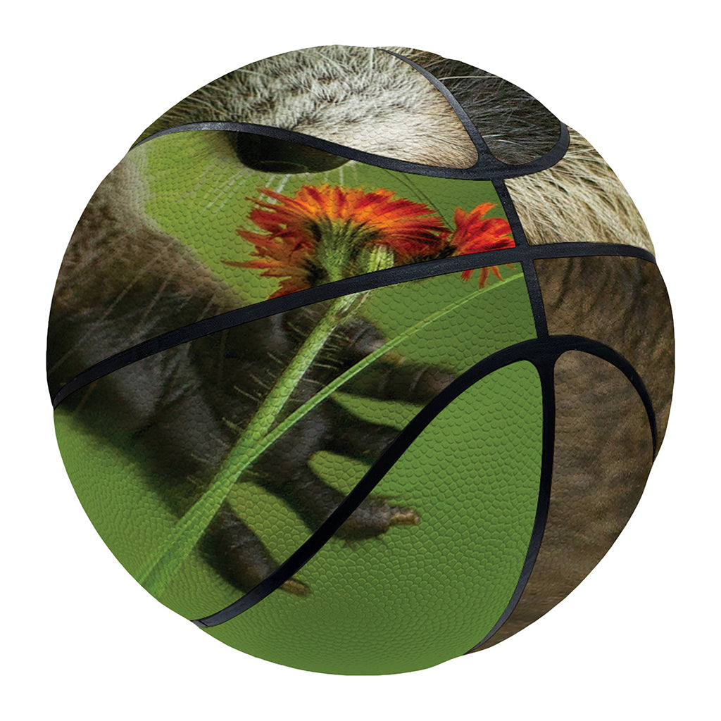 Raccoon And Flower Print Basketball