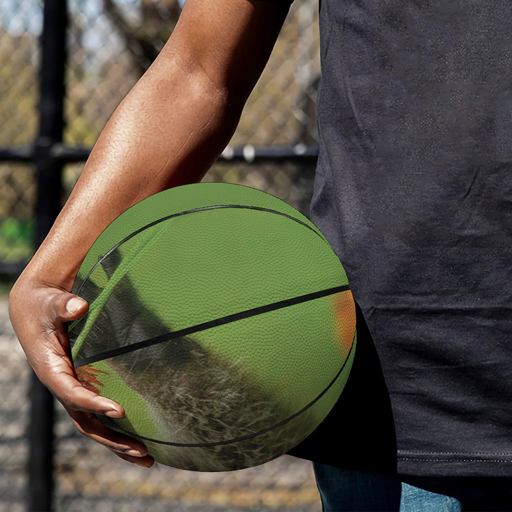 Raccoon And Flower Print Basketball