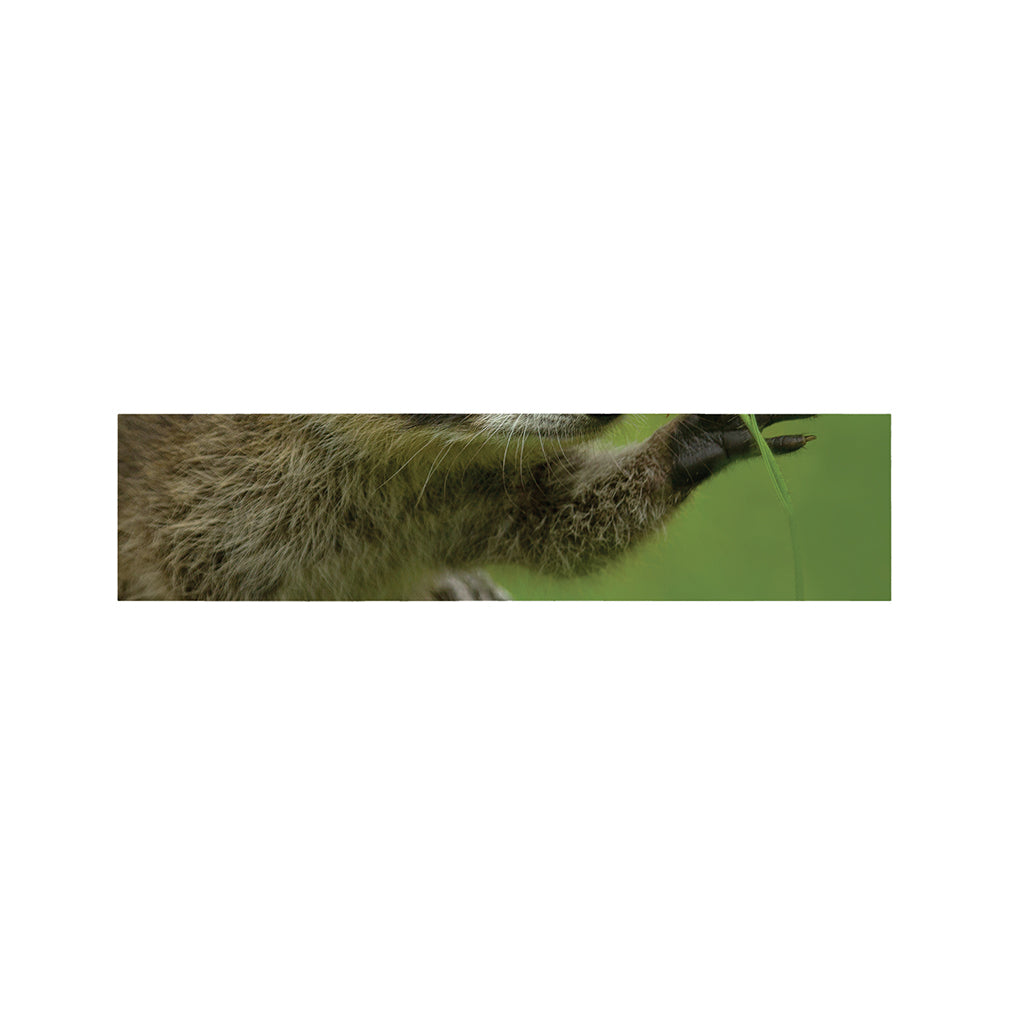 Raccoon And Flower Print Bed Runner