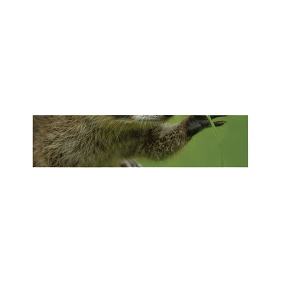 Raccoon And Flower Print Bed Runner