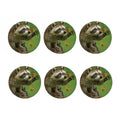 Raccoon And Flower Print Coaster Set