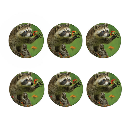 Raccoon And Flower Print Coaster Set