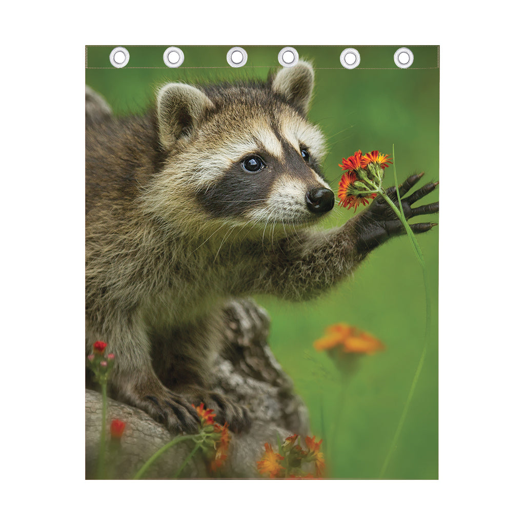Raccoon And Flower Print Curtain