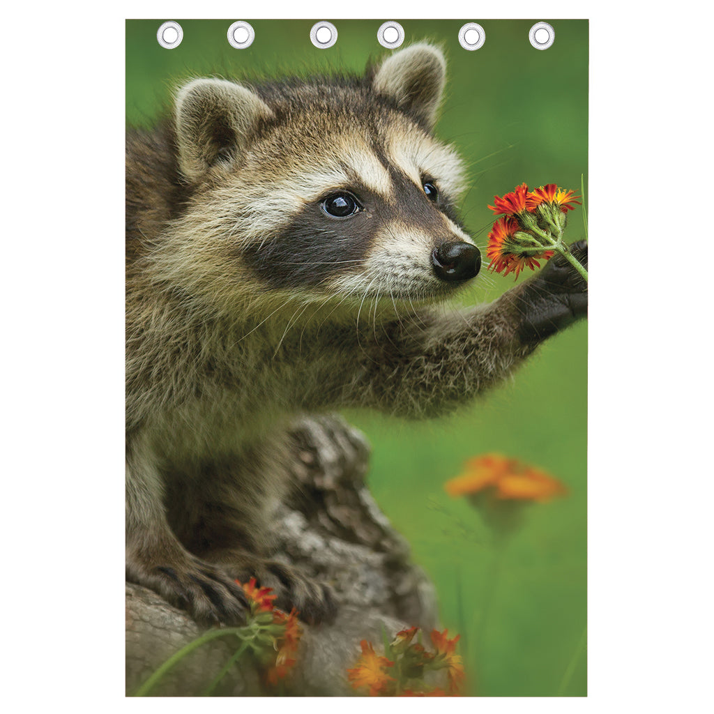 Raccoon And Flower Print Curtain