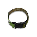 Raccoon And Flower Print Dog Collar