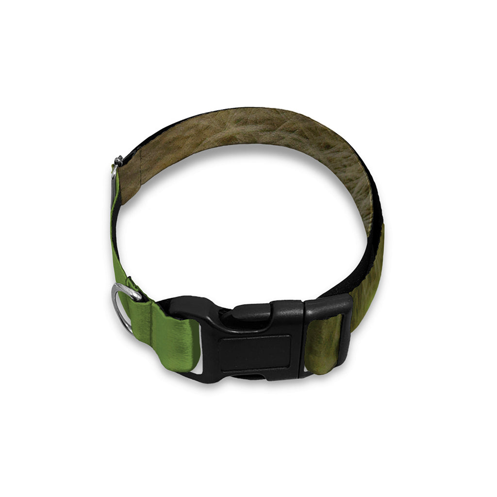 Raccoon And Flower Print Dog Collar