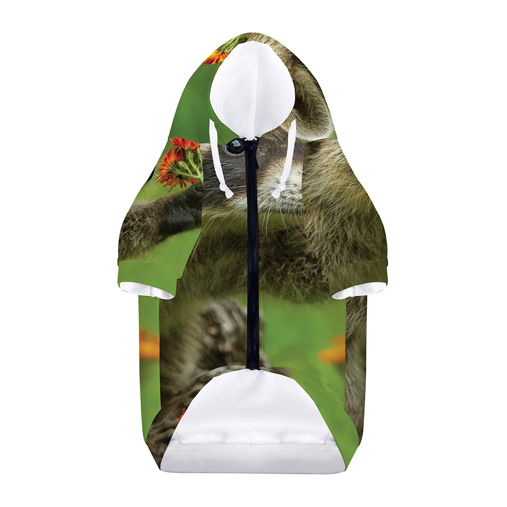 Raccoon And Flower Print Dog Zip Up Hoodie