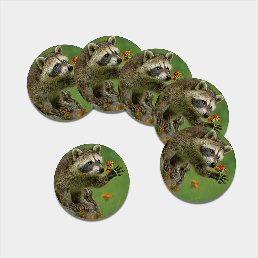 Raccoon And Flower Print Leather Coaster Set
