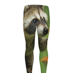 Raccoon And Flower Print Men's leggings