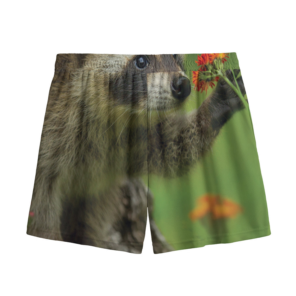 Raccoon And Flower Print Mesh Shorts