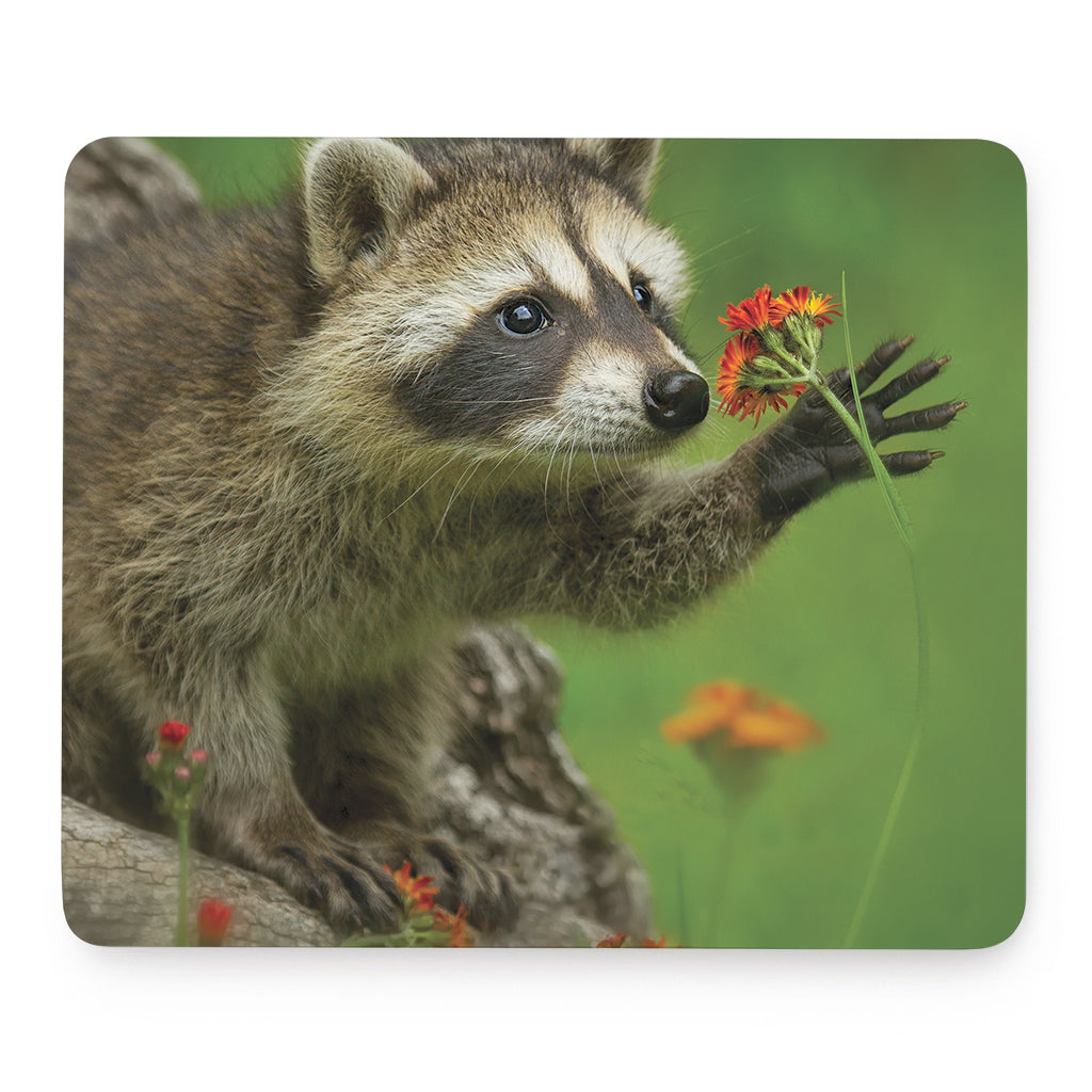 Raccoon And Flower Print Mouse Pad
