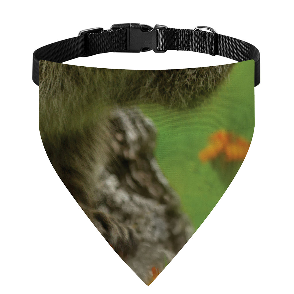 Raccoon And Flower Print Over The Collar Dog Bandana