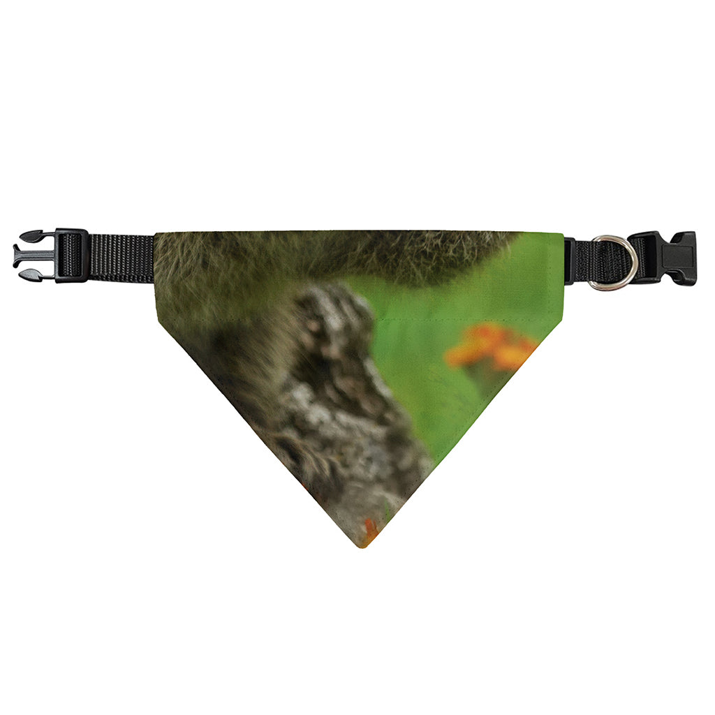 Raccoon And Flower Print Over The Collar Dog Bandana