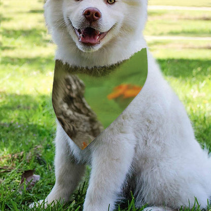 Raccoon And Flower Print Over The Collar Dog Bandana