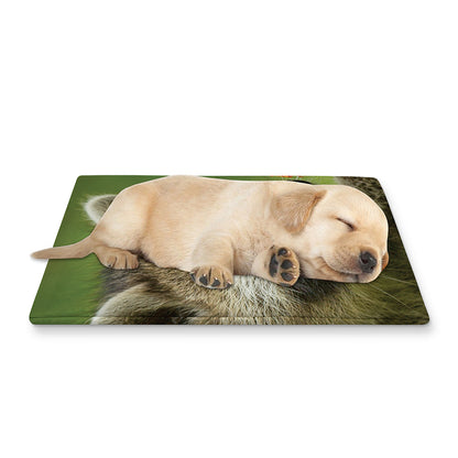 Raccoon And Flower Print Pet Cooling Mat Cover
