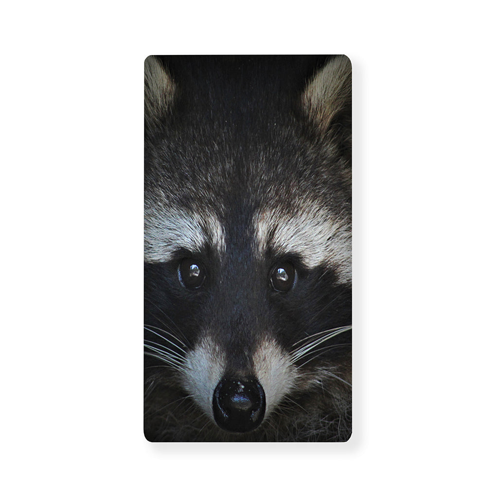 Raccoon Portrait Print Baby Crib Sheet
