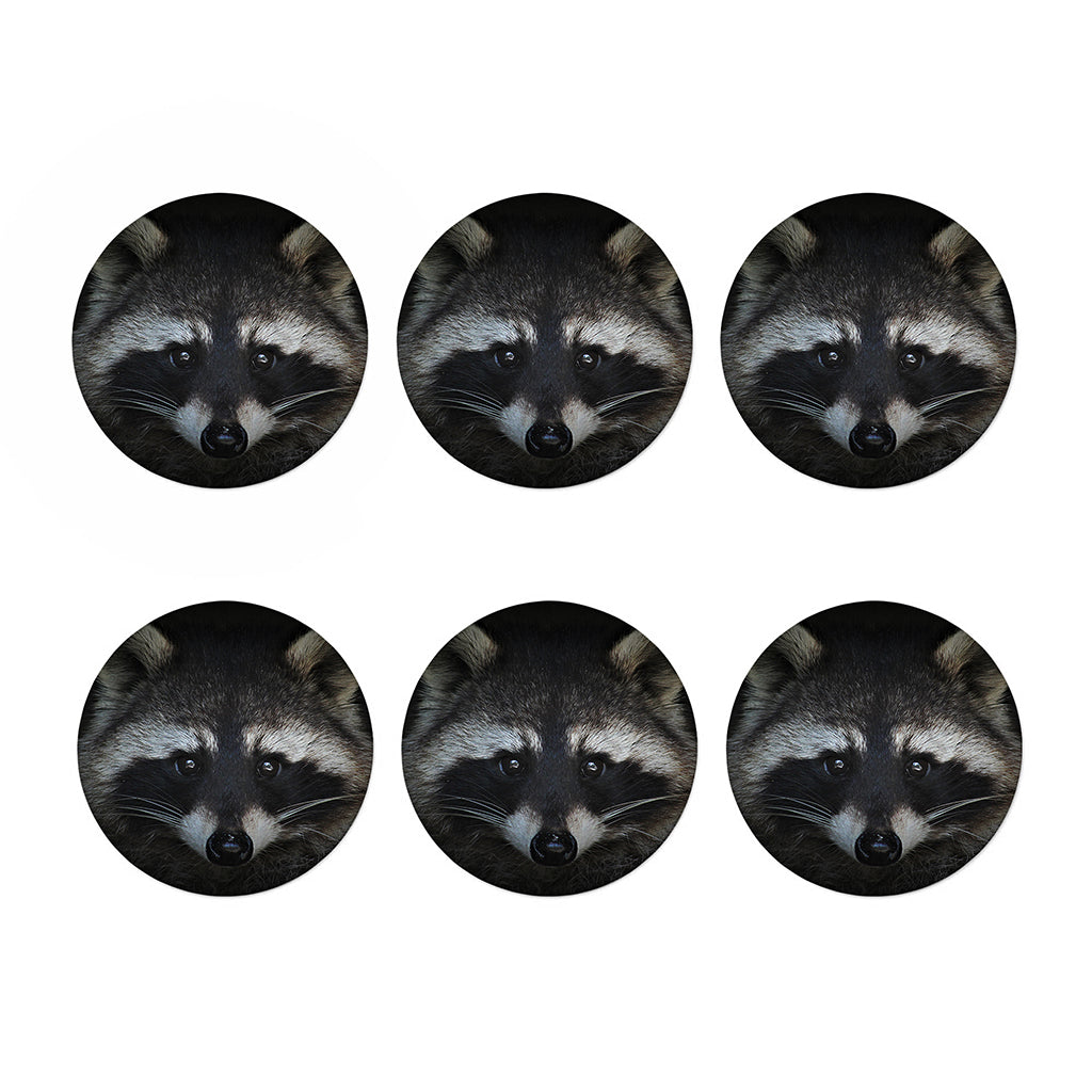 Raccoon Portrait Print Coaster Set
