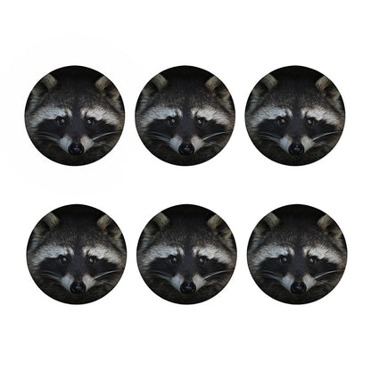 Raccoon Portrait Print Coaster Set