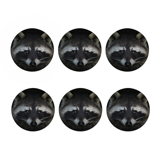 Raccoon Portrait Print Coaster Set