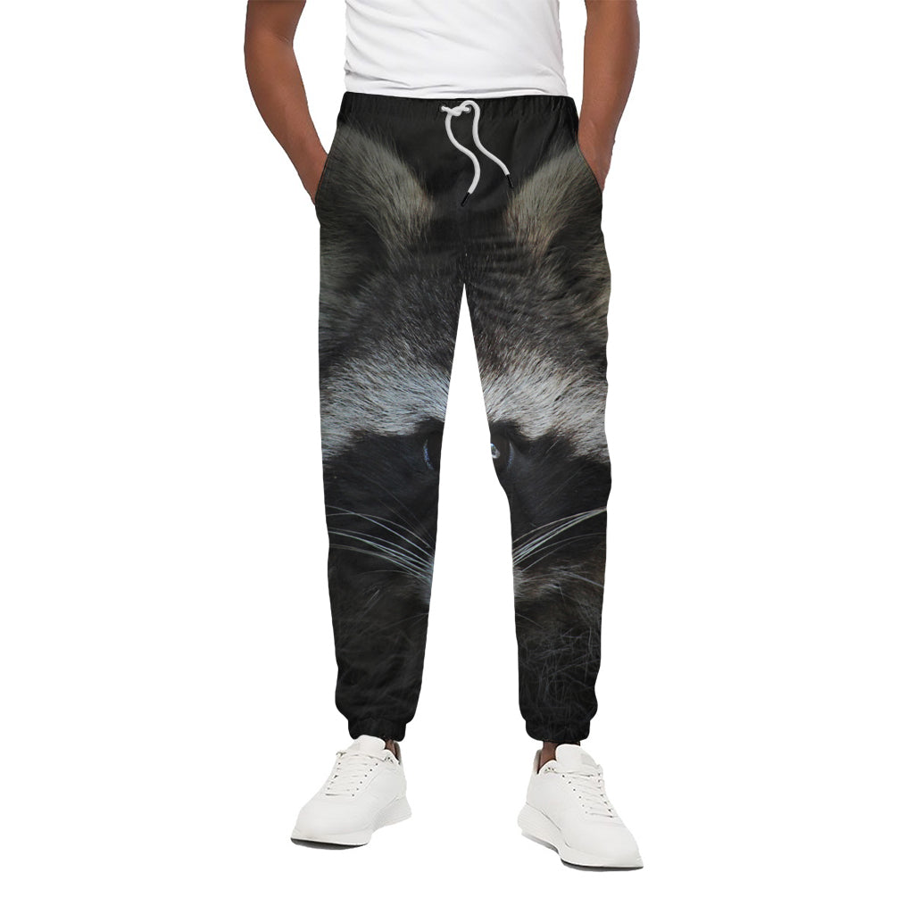 Raccoon Portrait Print Cotton Pants