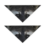 Raccoon Portrait Print Dog Bandana