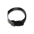 Raccoon Portrait Print Dog Collar