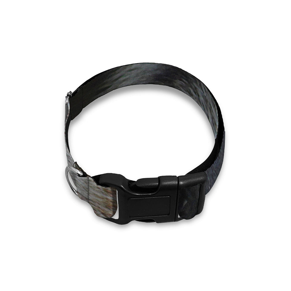 Raccoon Portrait Print Dog Collar