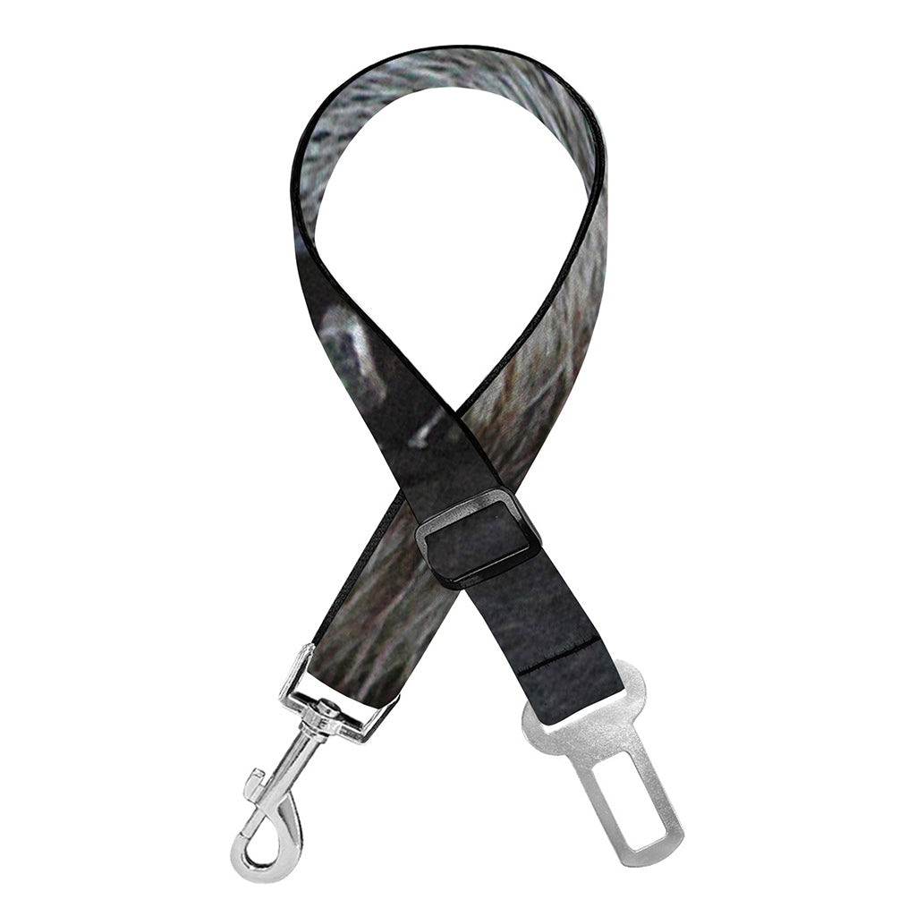 Raccoon Portrait Print Dog Seat Belt