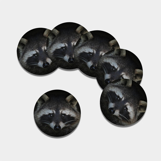 Raccoon Portrait Print Leather Coaster Set