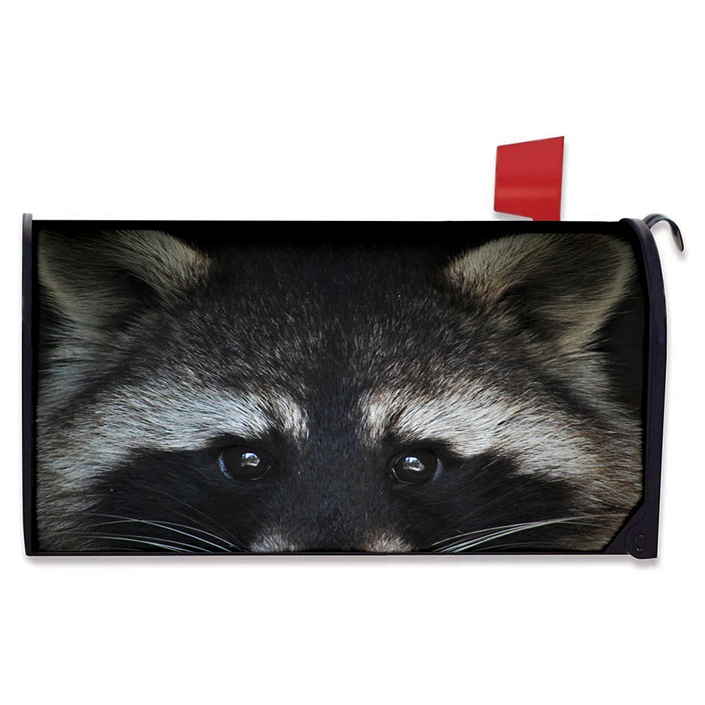 Raccoon Portrait Print Mailbox Cover